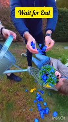 Focus on Creativity photography arts and inspiration