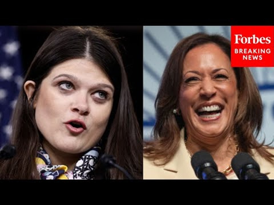 ‘Kamala Harris Loves Michigan’: Haley Stevens Shows Support For The VP’s Presidential Campaign