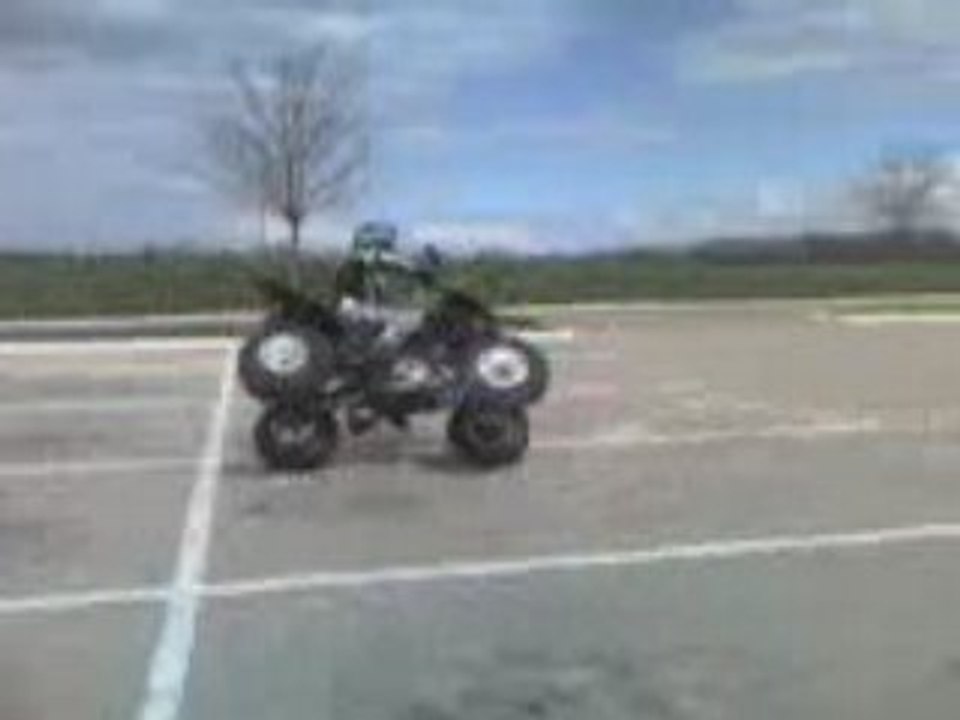 Raptor 350  ( en 2006 )