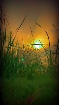 Beautiful sunset love this moment