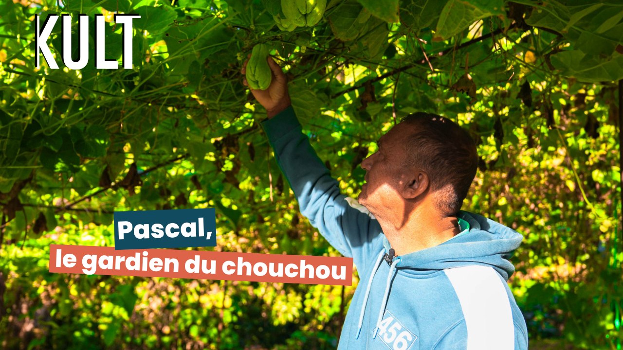 Pascal, gardien du chouchou