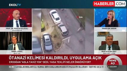 Düzce Belediye Başkanı Özlü'den başıboş köpek düzenlemesine tepki: Bu yasa uygulanabilir değil