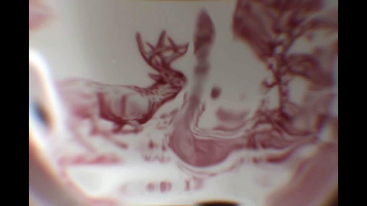 Teacup Teaser OV