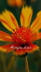 Deep Lines  Whatsapp status  Alone status  Urdufontkahani  #viralvideo #facebookreel #tiktok