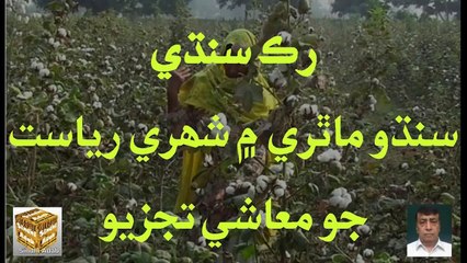 Ruk Sindhi - Economic analysis of the urban state of Indus Valley Civilization (1)