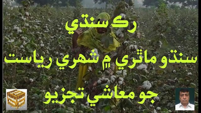 Ruk Sindhi - Economic analysis of the urban state of Indus Valley Civilization (1)