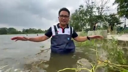 Isang palayan sa Calumpit, Bulacan ang naging instant "swimming pool" dahil sa baha