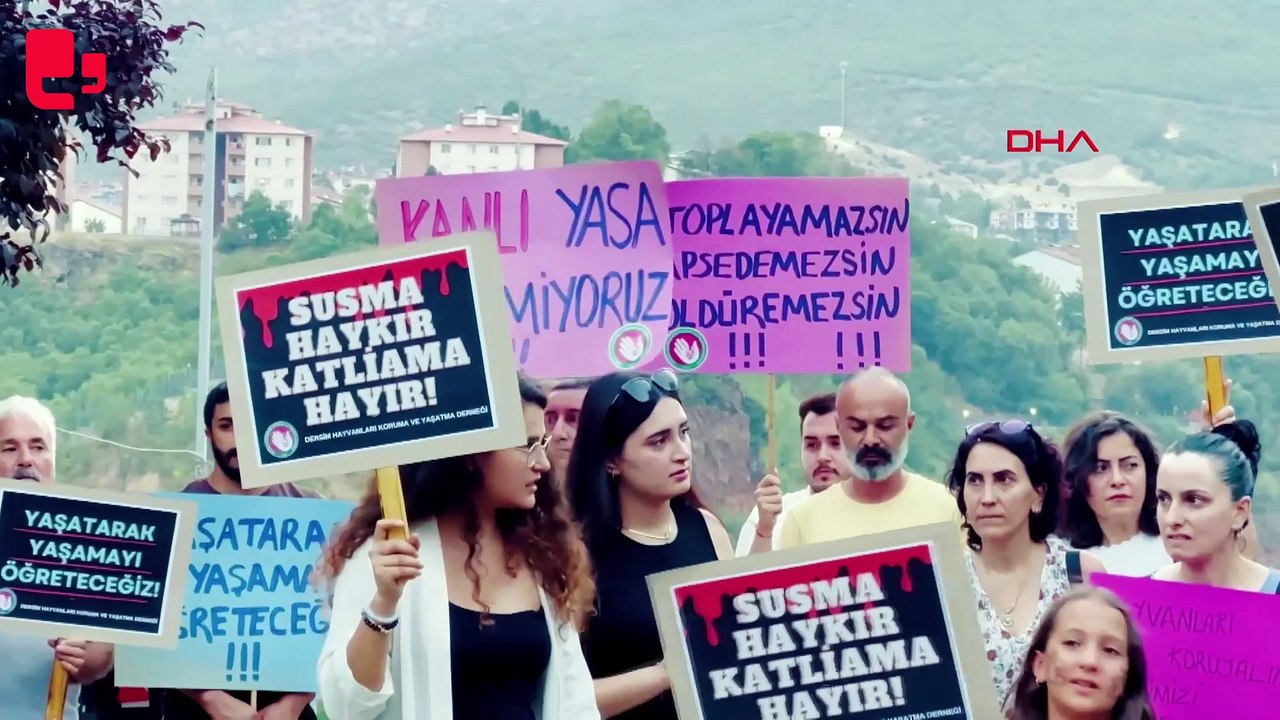Yaralı serçeyi kurtarmak isterken kamyon çarptı