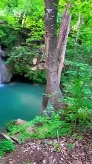 Beauty#nature#new video 2024#dailymotion