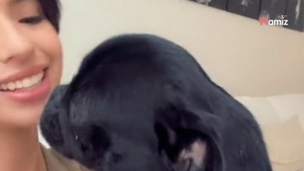 Ángela Aguilar compra un perro de raza bulldog y las redes se ensañan con ella