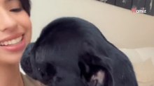 Ángela Aguilar compra un perro de raza bulldog y las redes se ensañan con ella