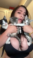 Most viral video on internet