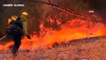 California cehennemi yaşıyor: 145 bin dönümden daha fazlası kül oldu!
