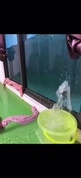This is someone's balcony during the flooding in Kaohsiung, Taiwan yesterday due to Typhoon Gaemi