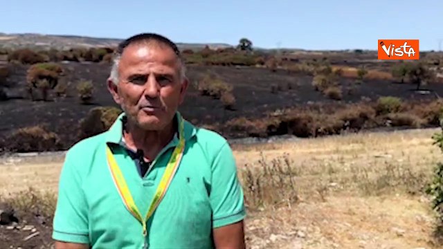 Incendi in Sardegna, il grido di dolore degli agricoltori: Non ci sono pi? parole, ? un disastro
