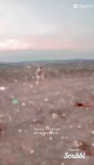 #viral  rells and viral sports