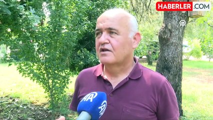 Manavgat Yangını Sonrası Yaban Hayatı Normale Dönüyor