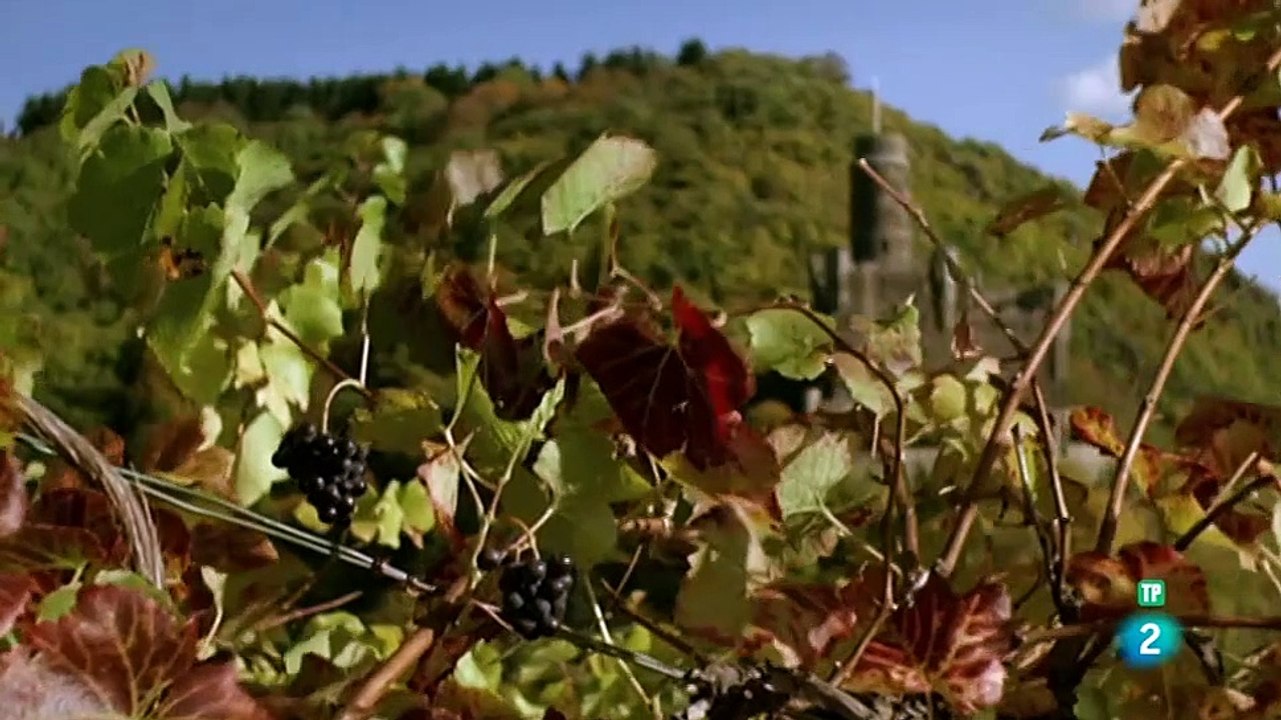 Historia de los Mamíferos en Europa: Desde la Conquista de los Océanos hasta la Caza del Homo Heidelbergensis