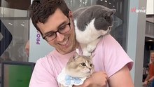 Passagier geht mit Katzen durch Flughafen-Kontrolle: Security reagiert prompt