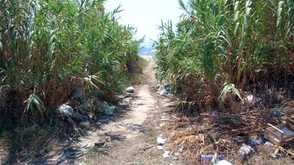 DEGRADO IN SPIAGGIA, A SANT'AGATA RIFIUTI