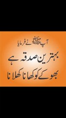 بہترین صدقہ بھوکے کو کھانا کھلانا ہے ❤️#trending#viral#shorts#islamic#dailymotion#share