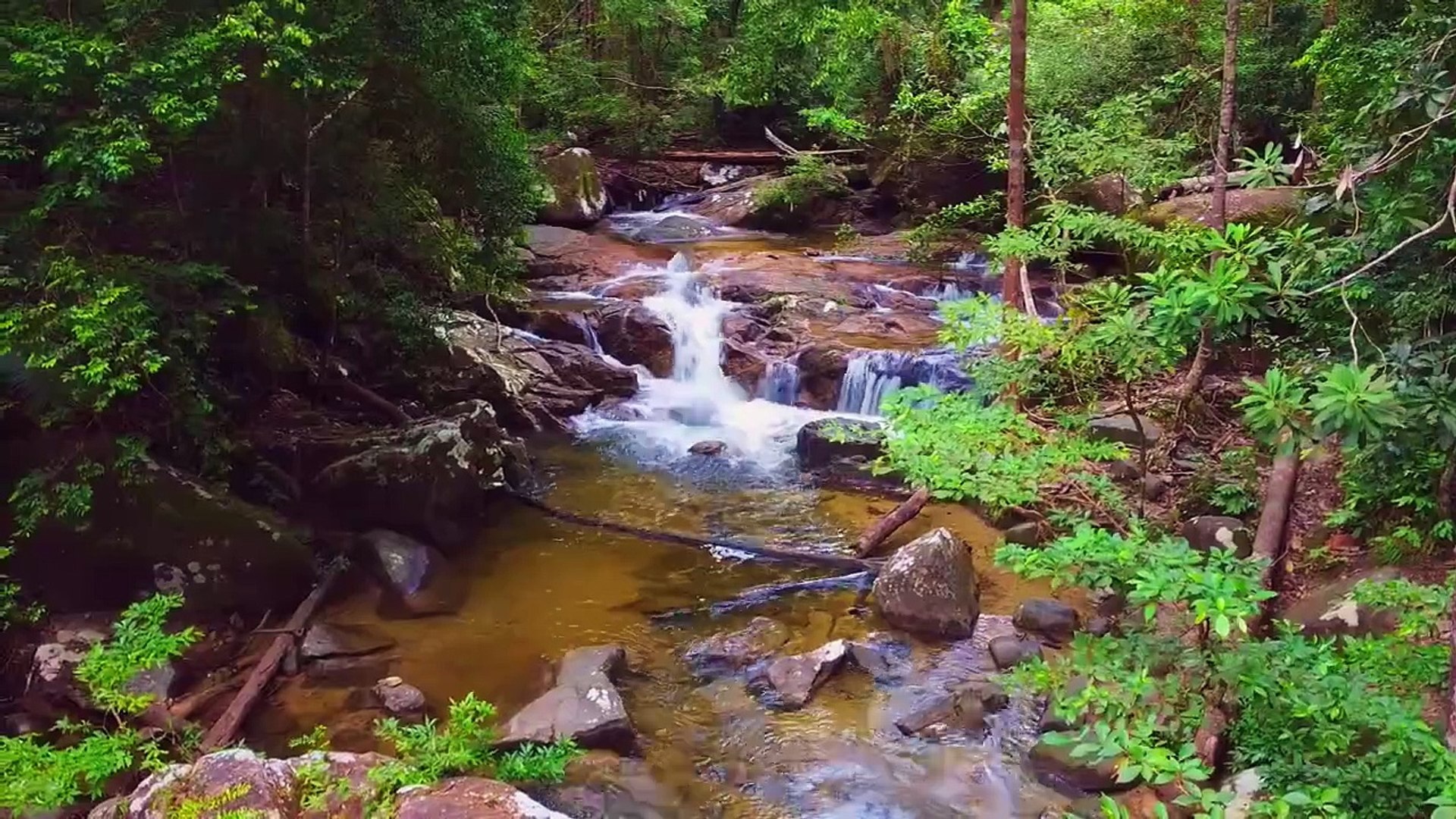 ⁣Ocean Waste (Music Video in HDR)