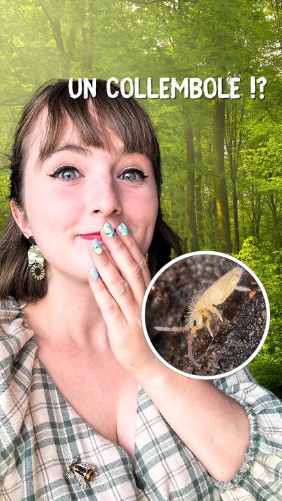 Un animal préhistorique ?!