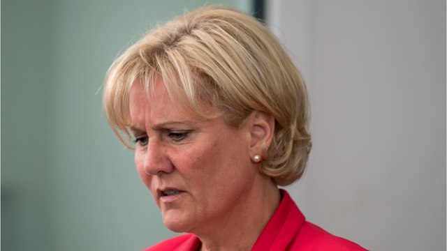 GALA VIDEO - Mort du fils de Nadine Morano : qui est Angelo, le père de Grégoire ?