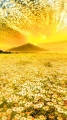 Beautiful sunflowers  #beautiful#beauty#naturalbeauty #sunflowers #greengreen#grass#water#beautifulscene#news#songs