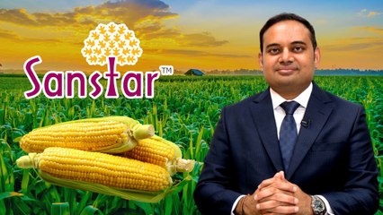 NSE और BSE पर लिस्ट हुई सैनस्टार, ग्रोथ पर मैनेजमेंट ने बताया बड़ा प्लान