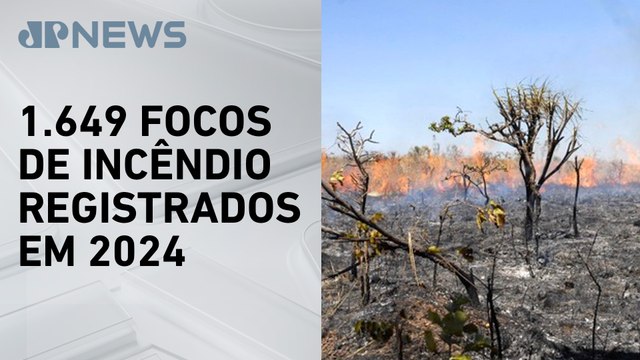 São Paulo tem maior número de queimadas dos últimos 14 anos, segundo dados do Inpe