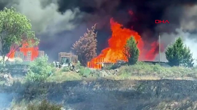 Tekirdağ'da korkutan yangın! Anız yangını fabrikaya sıçradı