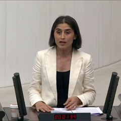 DEM Parti Diyarbakır Milletvekili Ceylan Akça Cupolo, Meclis’te yaptığı konuşmada, emekli maaşının 31 bin TL olması gerektiğini belirtirken, bit taksici ile arasında geçen konuşmayı aktardı. Cupolo, “Senetli köleliğe m