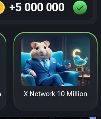 New Combo in Hamster combat 26.07