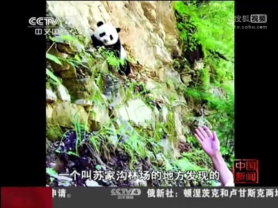 Videos