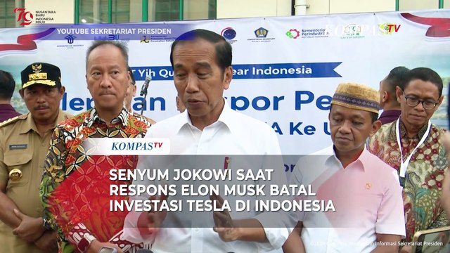 Elon Musk Batal Investasi, Presiden Jokowi Sebut Merek-merek Ini