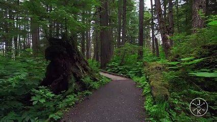 Alaska in 8K 60p HDR Dolby Vision