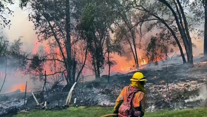 California wildfire sparked by a burning car triples in size in a day