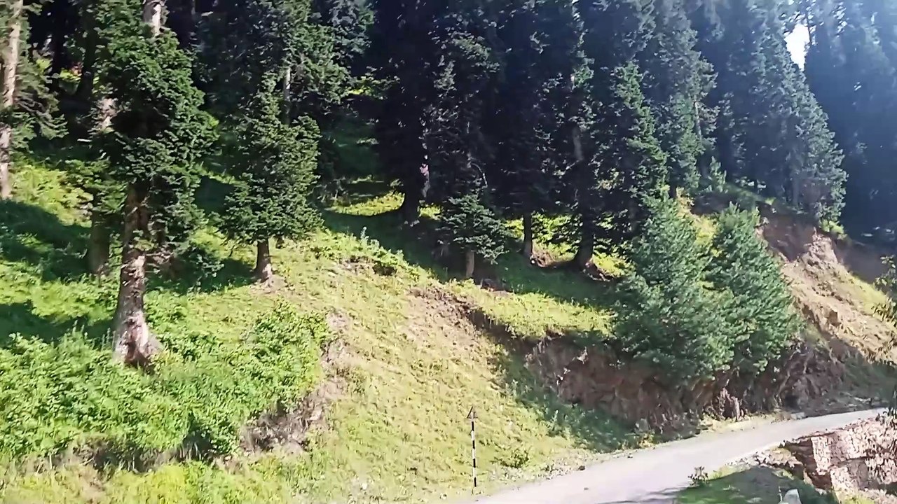 beautiful view