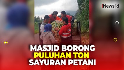 Masjid Nurul Ashri Sleman Borong Puluhan Ton Sayuran Petani, 12 Macam Sayur Dijual Hanya Rp2 Ribu