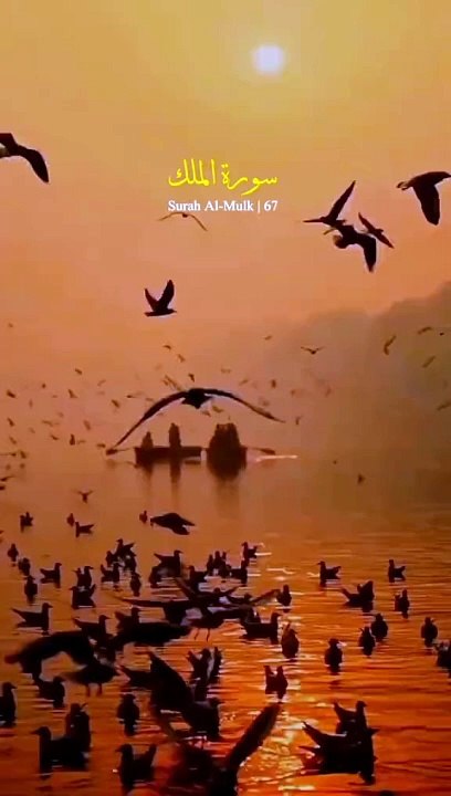 Surah mulk