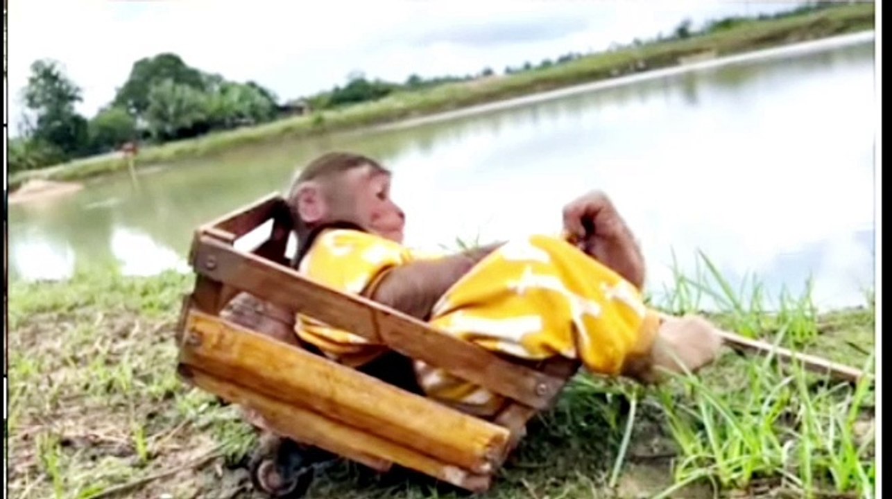 Watch this intelligent monkey fishing and get feeding his dog friend