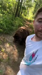 Spot The Fake Animal For _10_000(1080P_HD)