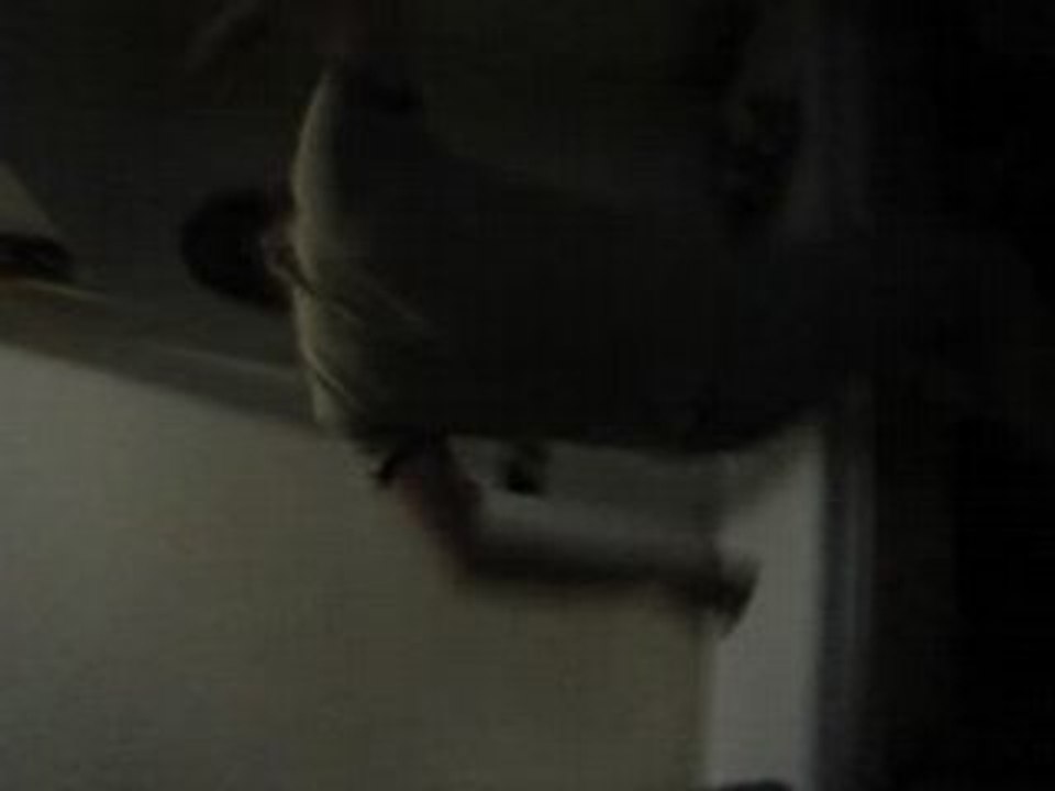 20.04.06