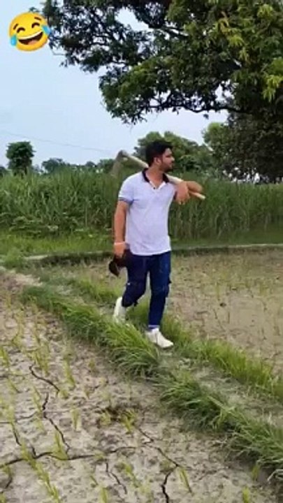 Funny videos