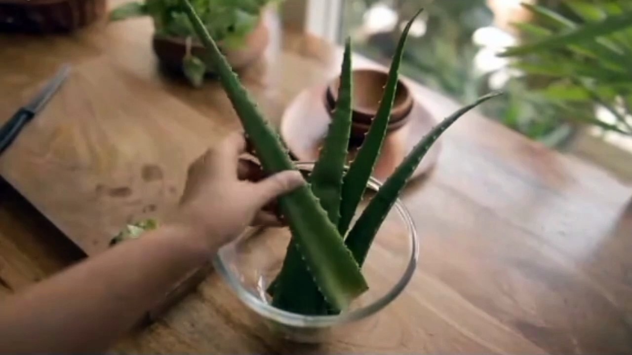 "How to Make Pure Organic Aloe Vera Gel at Home"