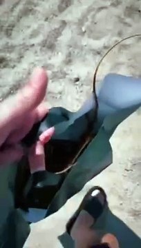 Il rapper Salmo compra un’aragosta al ristorante e la libera in mare