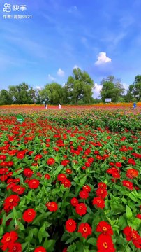 new funny video,comedy videos,funny clips video,funny video,funny video 2022,funny video 2021,tredning funny video,funny videos,trending,funny videos 2022,funny clips videos,funny video 2023,hindi funny video,monkey trending searches video,#funny #viral #