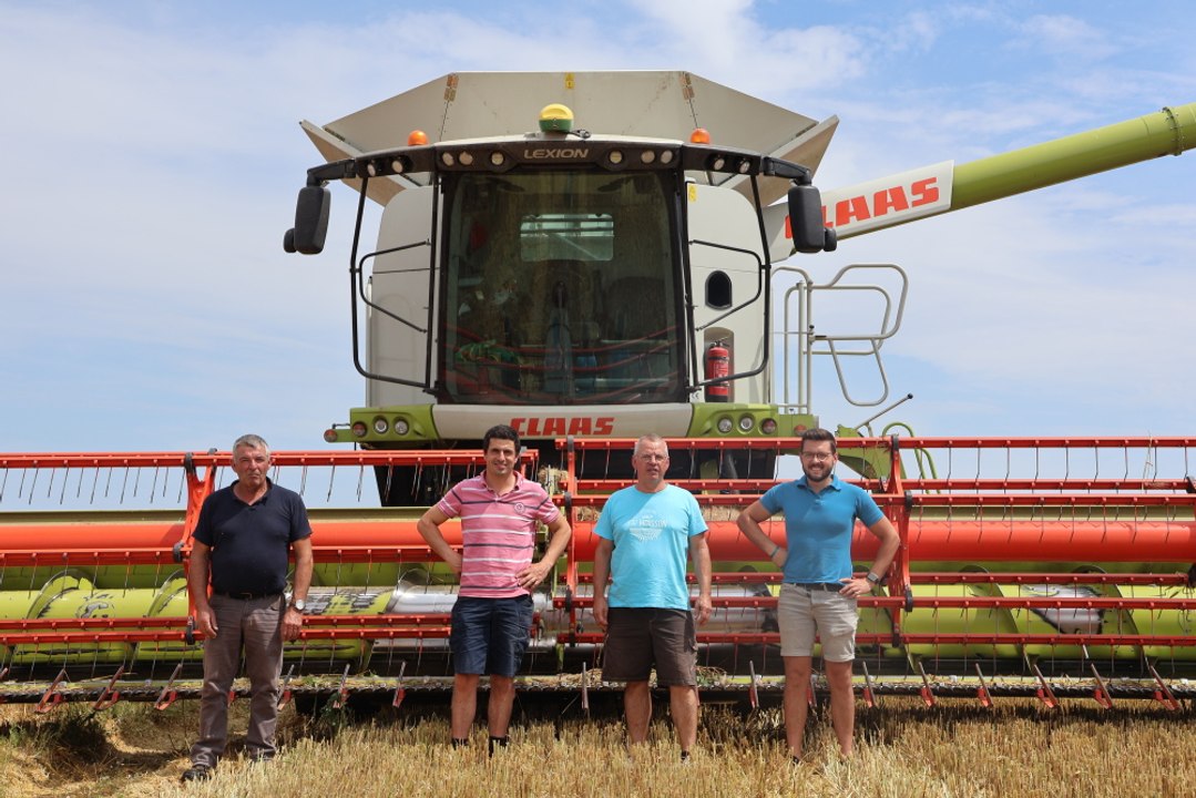 Immersion dans les moissons dans l'Eure