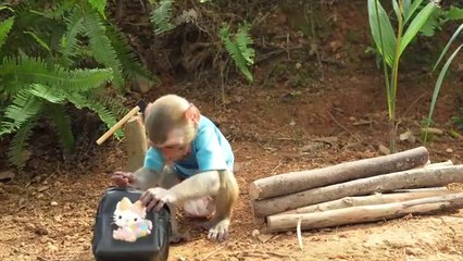 Monkey Baby Bon Bon meets rain of chocolate candy and eats rainbow milk bottle jelly with ducks